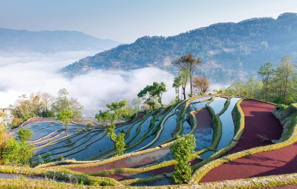 Ruộng bậc thang Nguyên Dương lấp lánh mặt nước, uốn lượn theo triền núi như những dải lụa trời