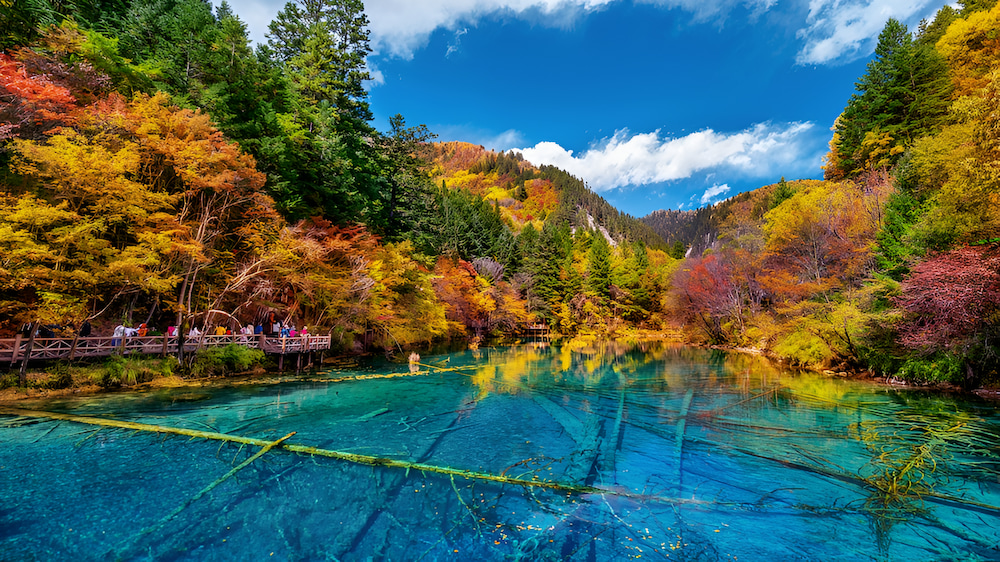 Cửu Trại Câu tháng 11 gây ấn tượng với mặt hồ trong vắt soi bóng bầu trời và thiên nhiên mùa thu