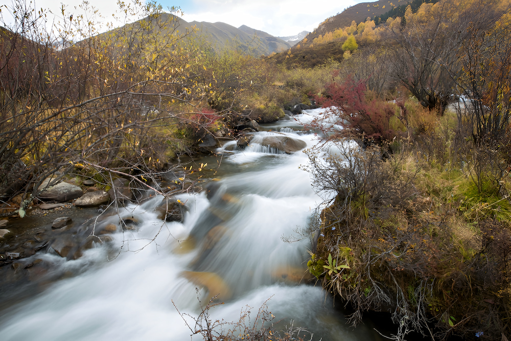 Sắc đỏ, cam và vàng rực rỡ bao phủ quanh thác, tạo nên bức tranh mùa thu sống động giữa vùng cao Tứ Xuyên