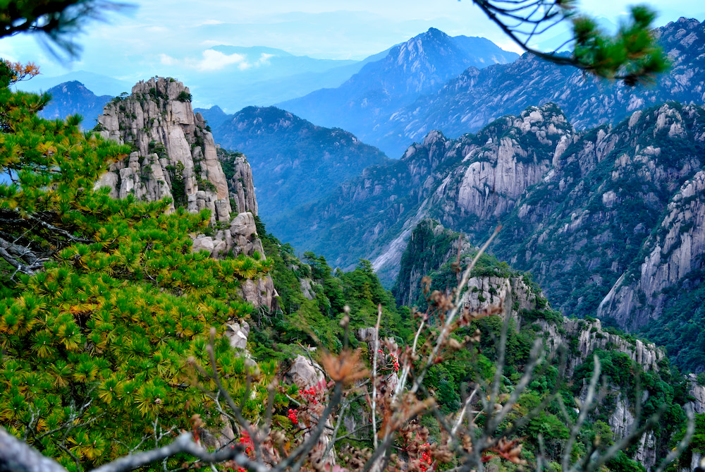 Cuối thu, núi rừng chuyển sắc rực rỡ, trở thành điểm đến lý tưởng cho mùa săn lá tại miền Đông Trung Quốc