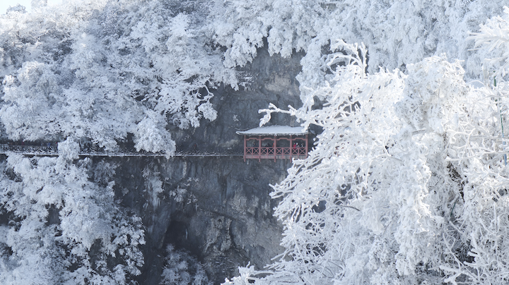 Tuyết trắng bao phủ quanh núi Trương Gia Giới tạo nên khung cảnh huyền ảo