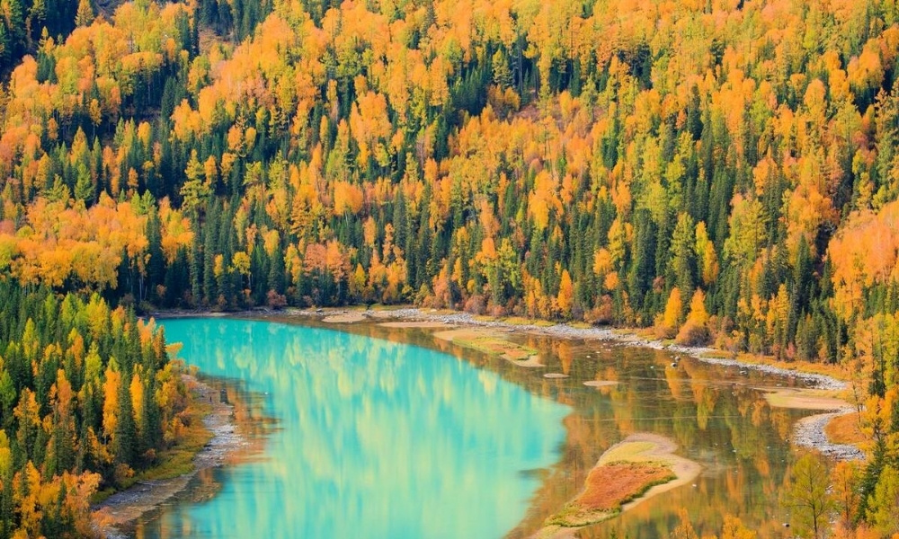 Lá cây tại Kanas dần chuyển vàng, đỏ vào cuối tháng 8, đầu tháng 9