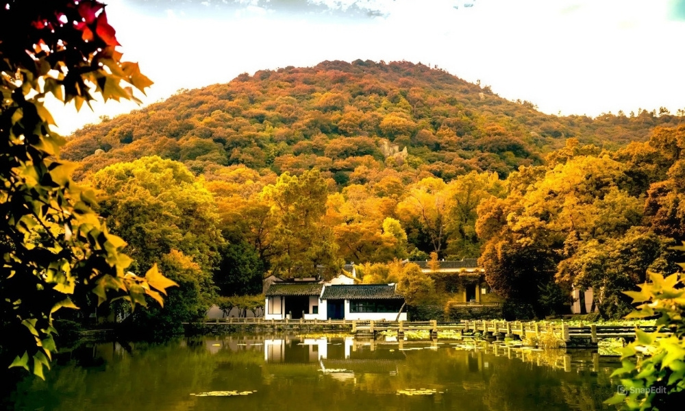 Núi Cảnh Sơn với những tán lá vàng rực rỡ soi bóng xuống mặt hồ bình yên ở Tô Châu