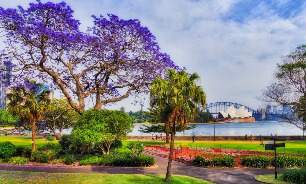 Mùa xuân ở Úc có khí hậu ôn hòa, nắng nhẹ và ít mưa