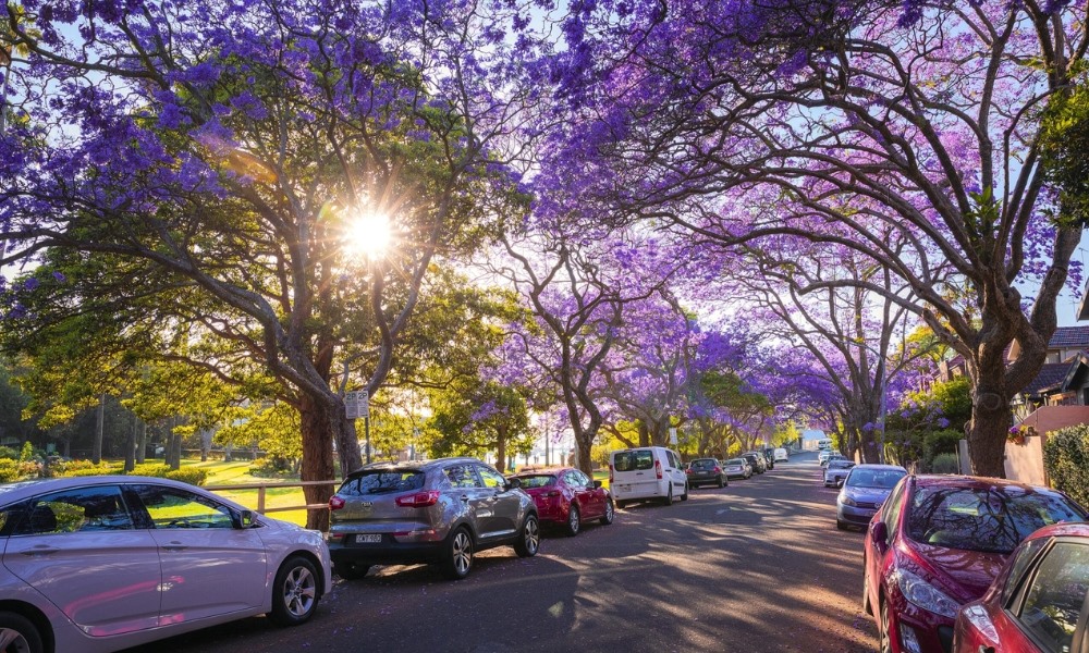 Chuẩn bị đầy đủ để chuyến đi mùa xuân ở Úc thoải mái và suôn sẻ hơn