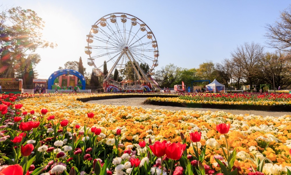 Floriade là lễ hội hoa lớn nhất nước Úc