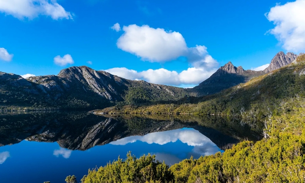 Khám phá Tasmania qua núi rừng, sông suối và những loài thú hoang dã đặc trưng