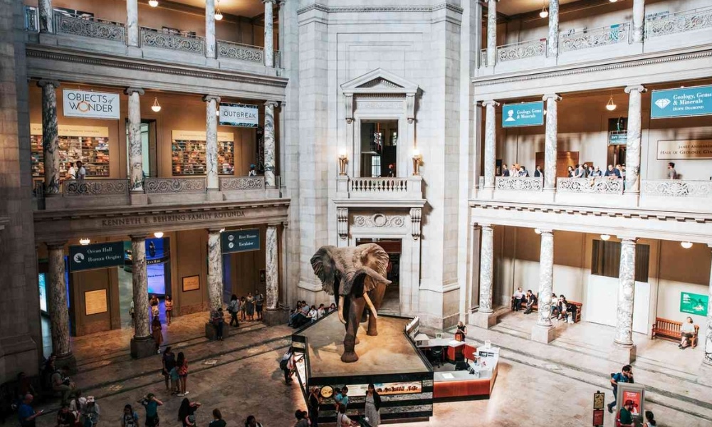 Khám phá lịch sử Trái Đất qua hàng triệu năm ở Bảo tàng Lịch sử Tự nhiên Quốc gia