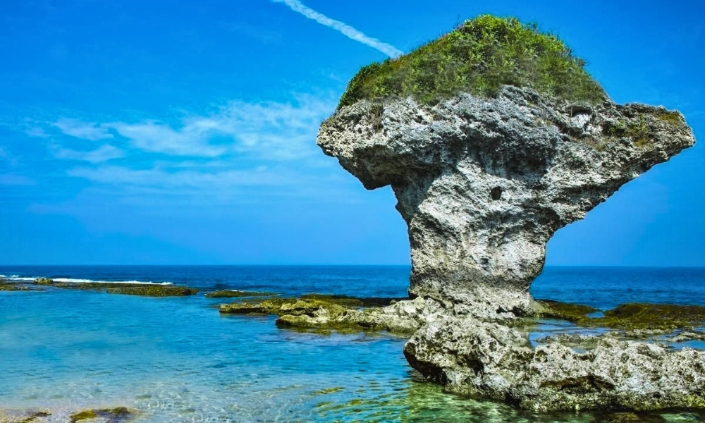 Mỏm đá Hoa Bình nổi bật với hình dáng tựa cây cổ thụ vươn mình giữa biển trời