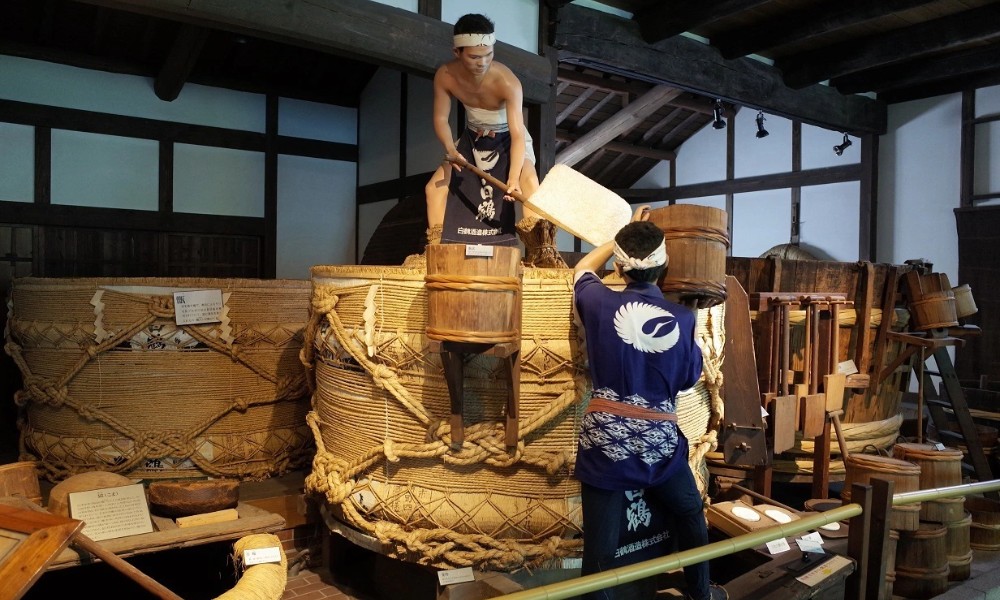 Tham quan quy trình nấu rượu sake truyền thống Nhật Bản