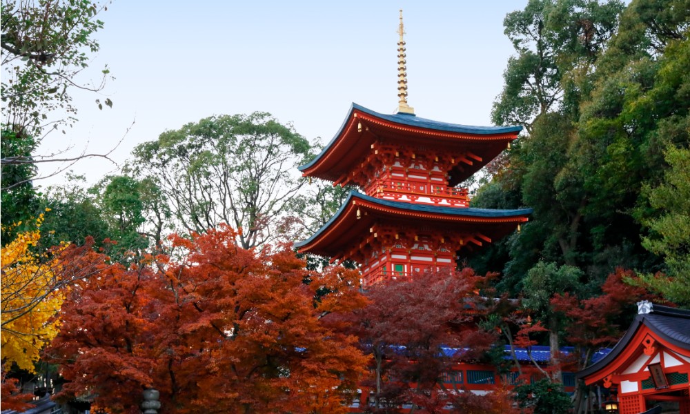 Mùa thu là thời điểm lý tưởng để ngắm lá đỏ tại Kobe