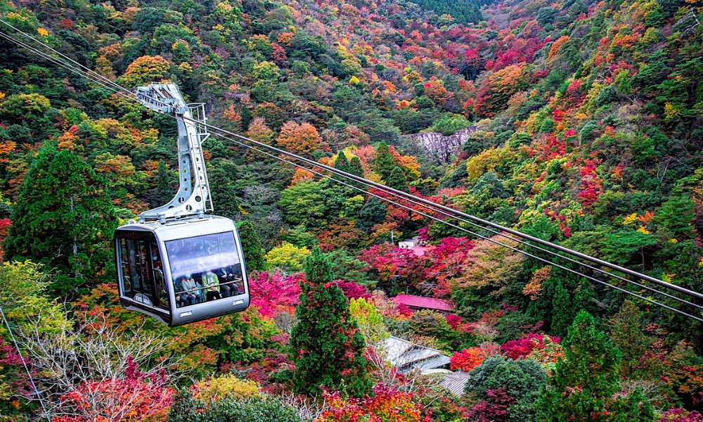 Cáp treo Rokko mở ra khung cảnh thiên nhiên đầy ấn tượng trên cao