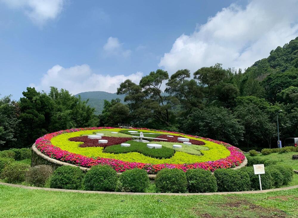 Công viên Dương Minh Sơn rực rỡ sắc hoa đón mùa xuân về.