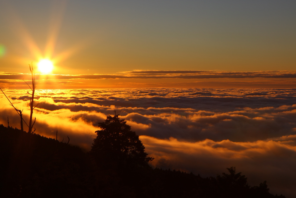 Bình minh huyền ảo tại đài quan sát Zhushan – điểm “săn nắng” nổi tiếng nhất Alishan
