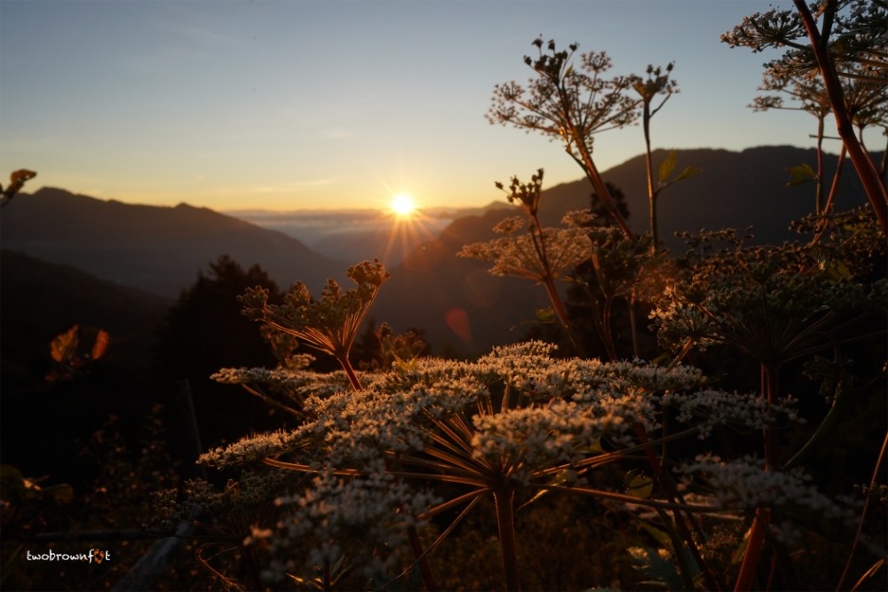 Bình minh ló rạng trên đỉnh Hehuanshan – điểm check-in ưa thích của các phượt thủ