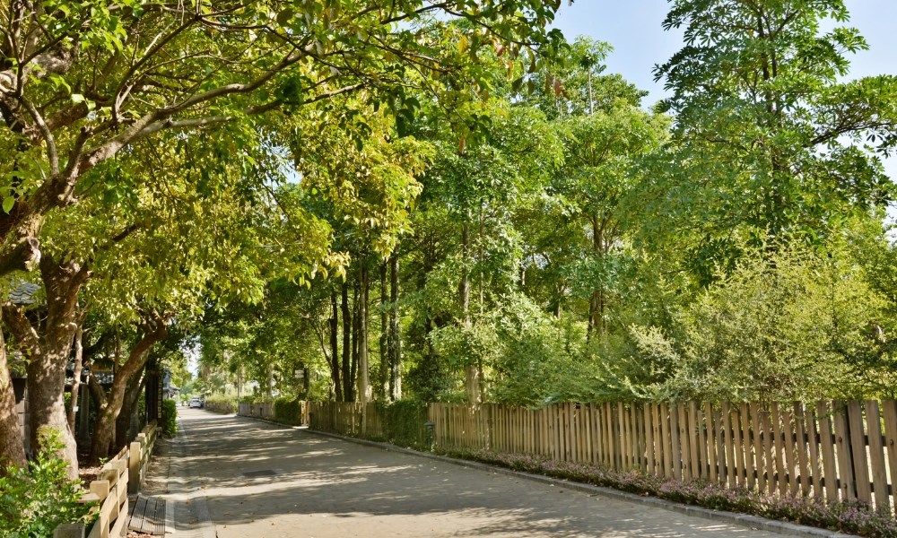 Công viên Văn hóa Lâm nghiệp La Đông - nơi lưu giữ dấu ấn lịch sử ngành khai thác gỗ ở Nghi Lan