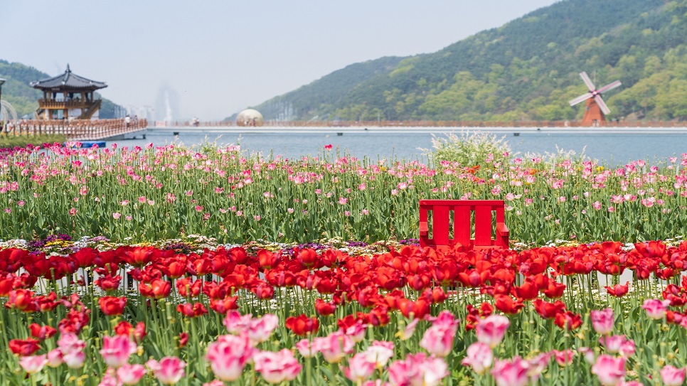 C&ocirc;ng vi&ecirc;n Songhae