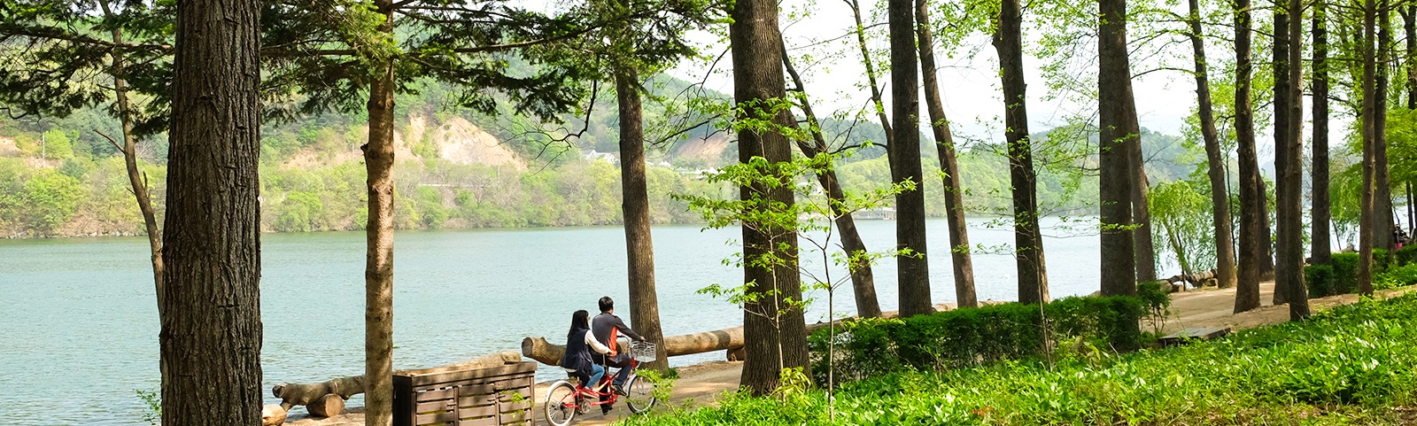 DU LỊCH SEOUL – NAMI: NHỊP SỐNG MÙA HẠ