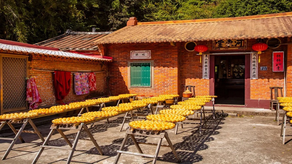 Quy trình sản xuất hồng khô