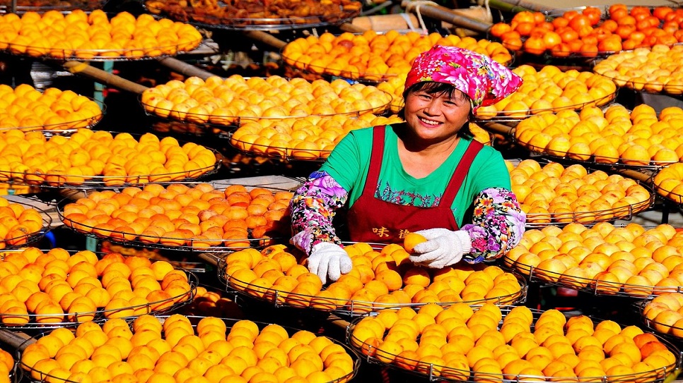 Vườn hồng Weiweijia