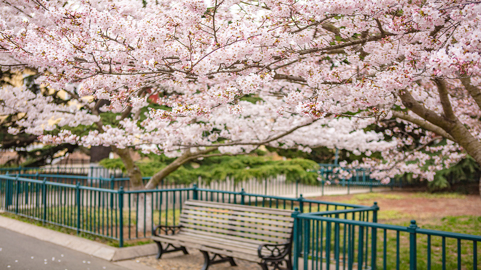 C&ocirc;ng vi&ecirc;n Trung Sơn
