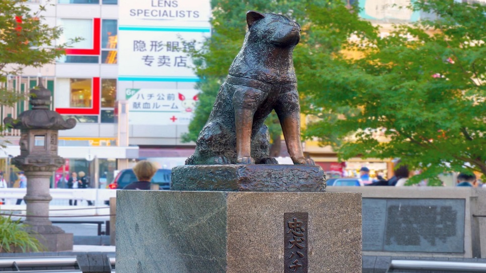 Bức tượng Ch&uacute; ch&oacute; Hachiko