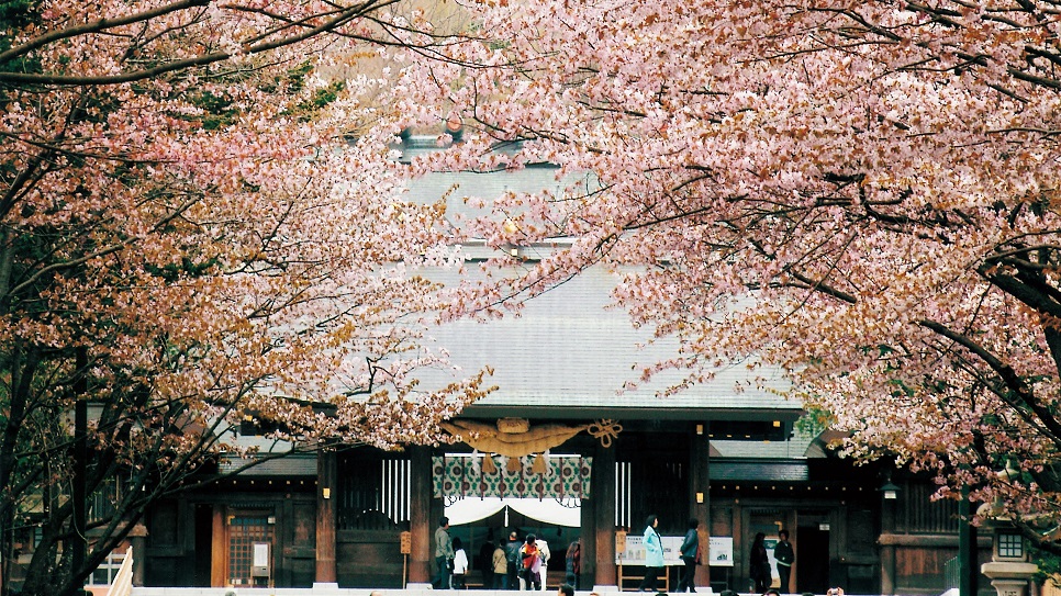 M&ugrave;a hoa xu&acirc;n khoe sắc tại đền Hokkaido Jingu