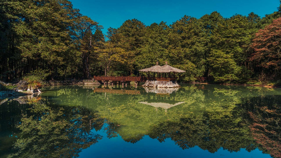 Đầm Tỷ Muội