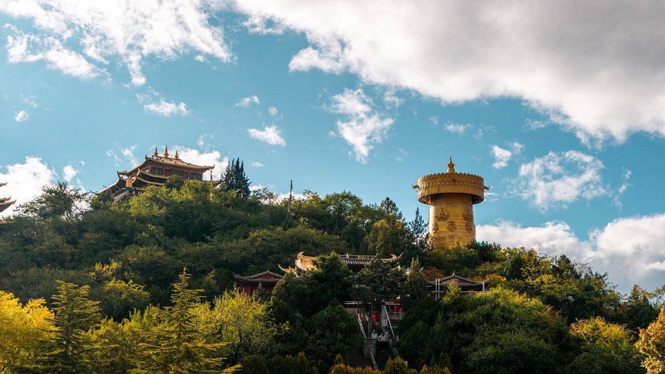 Ch&ugrave;a Đại Phật