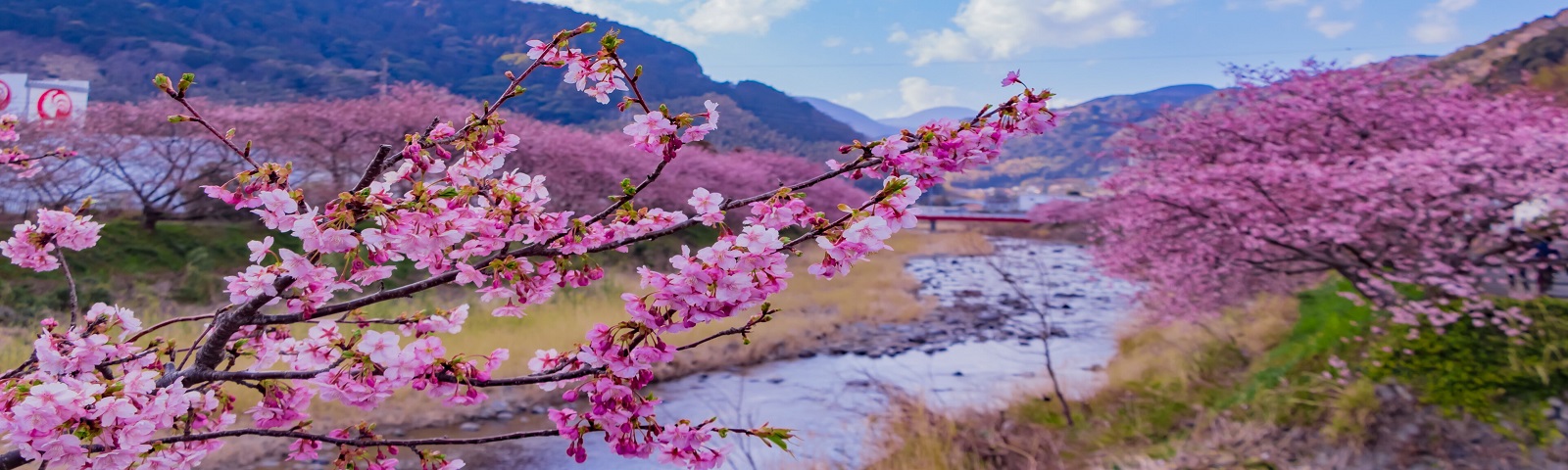TOUR NHẬT BẢN: CUNG ĐƯỜNG VÀNG MÙA SAKURA NỞ SỚM