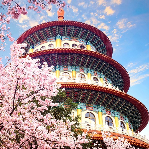 TOUR ĐÀI LOAN: MÙA HOA ANH ĐÀO NGỌT NGÀO