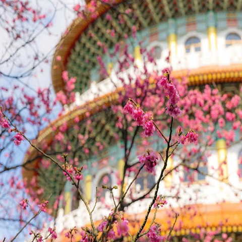 TOUR CAO HÙNG – ĐÀI BẮC: ĐÓN XUÂN ĐẢO NGỌC