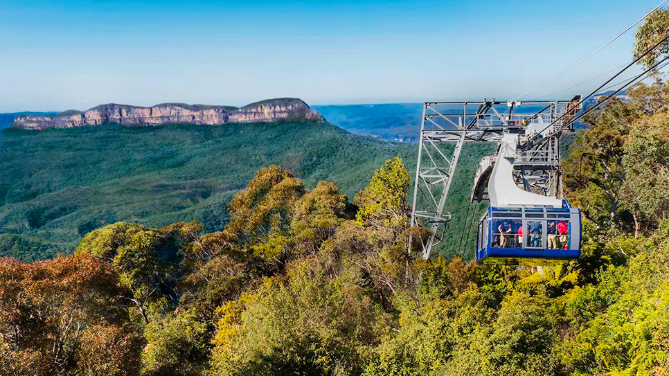 Scenic Cableway