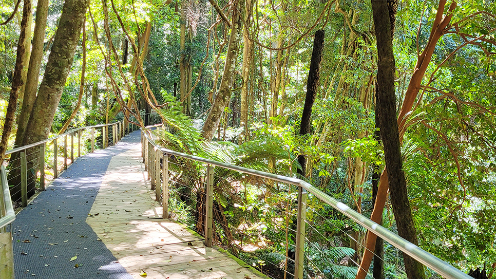 Scenic Walkway