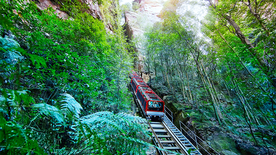 Scenic Railway