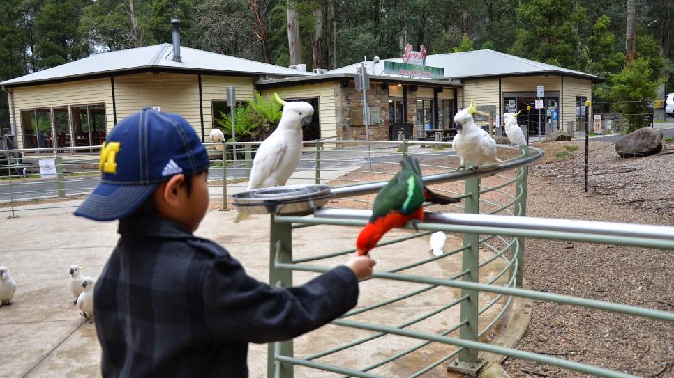 Công viên Quốc Gia Dandenong