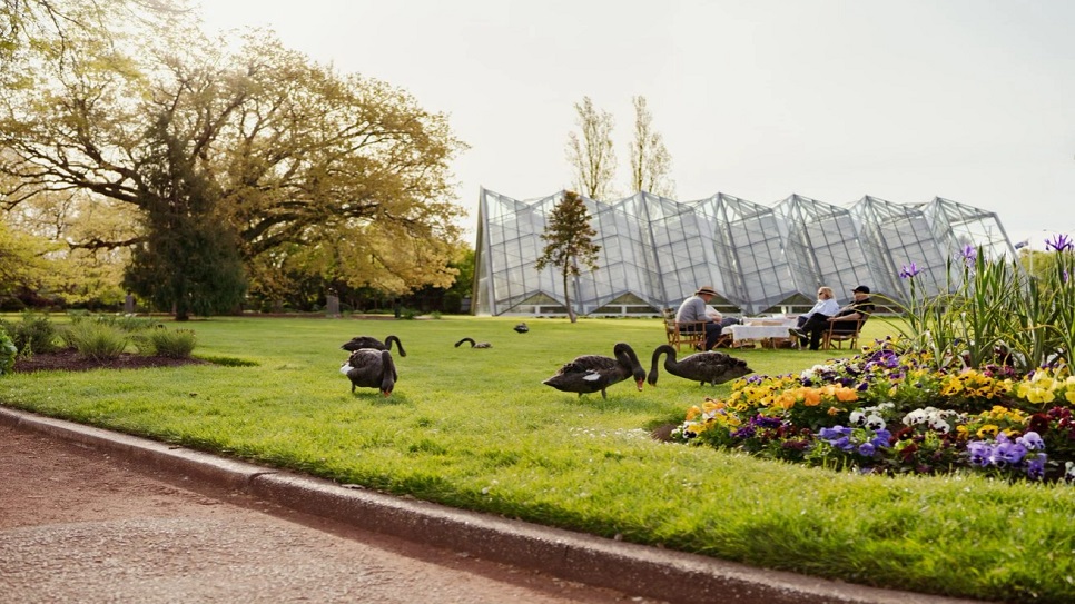 Kh&aacute;m ph&aacute; thế giới động vật tại Ballarat Botanical Gardens