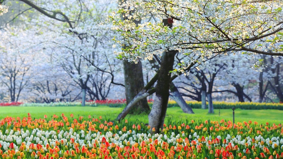 Công viên Thái Tử Loan