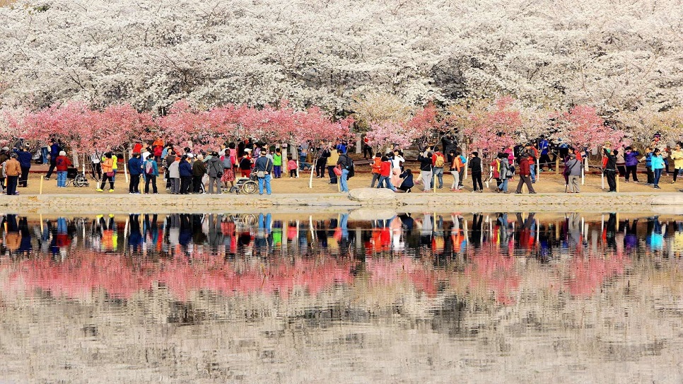 C&ocirc;ng vi&ecirc;n Ngọc Uy&ecirc;n Đ&agrave;m