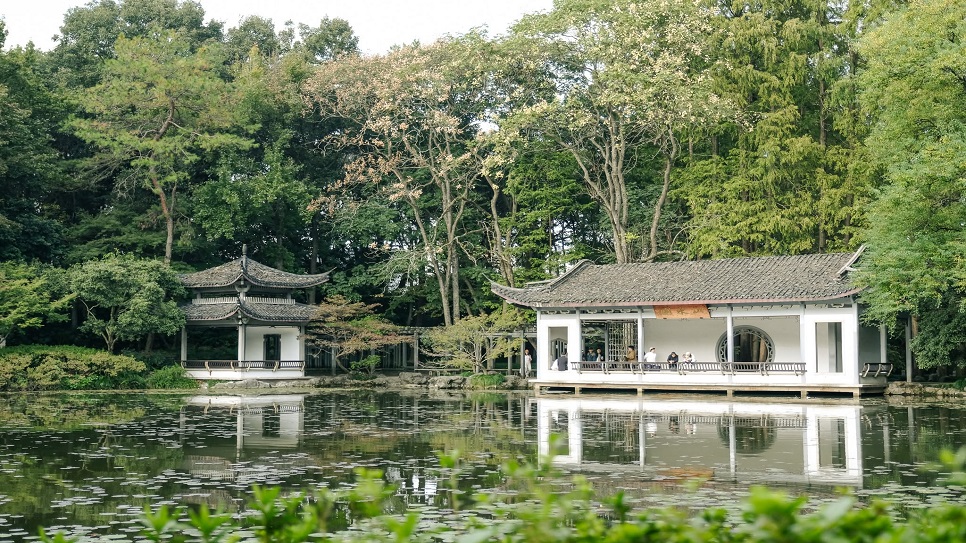 Khung cảnh thanh tịnh tại vườn bách thảo Hàng Châu