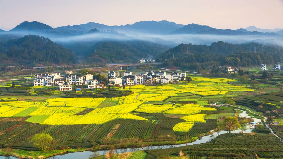 Làng cổ Vụ Nguyên (Wuyuan)