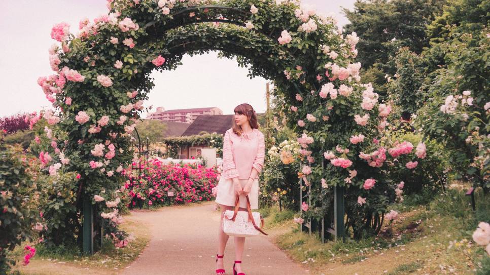 Vườn hoa hồng Keisei 