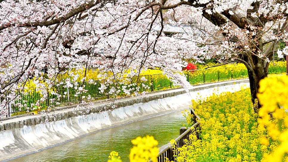 Yamashina Canal 