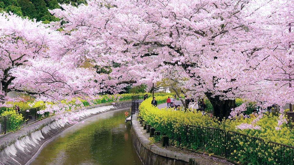 Yamashina Canal 