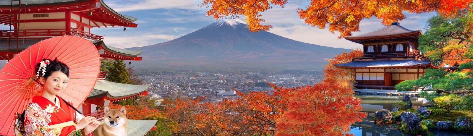 TOKYO: ĐIỂM HẸN XỨ SỞ MẶT TRỜI MỌC