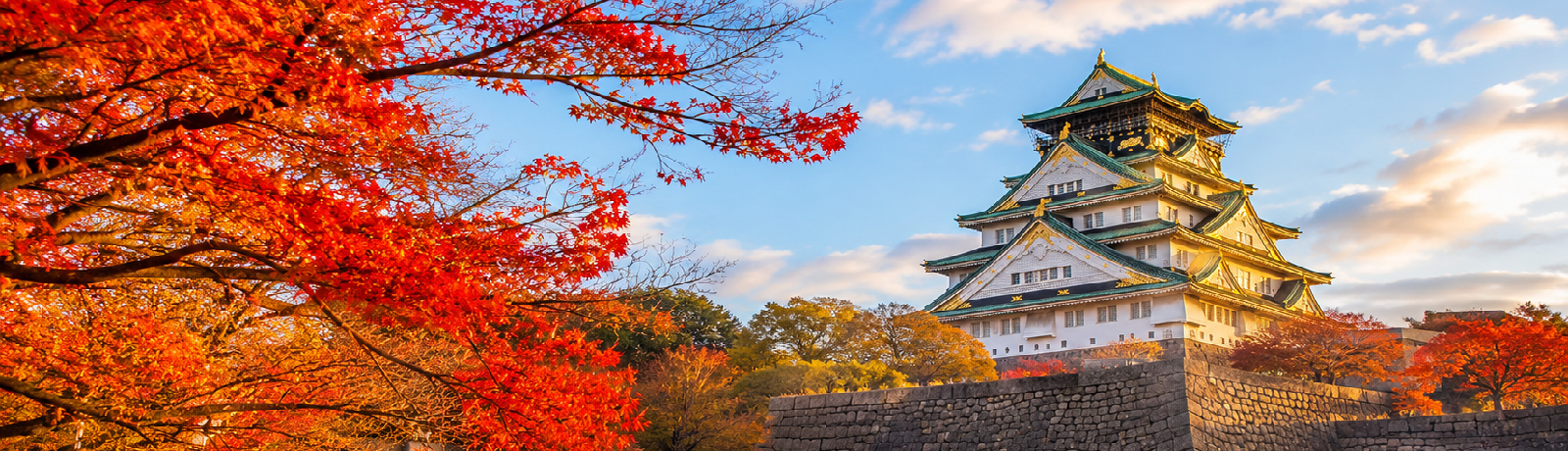 OSAKA - TOKYO (HND): CHẠM THU NHẬT BẢN