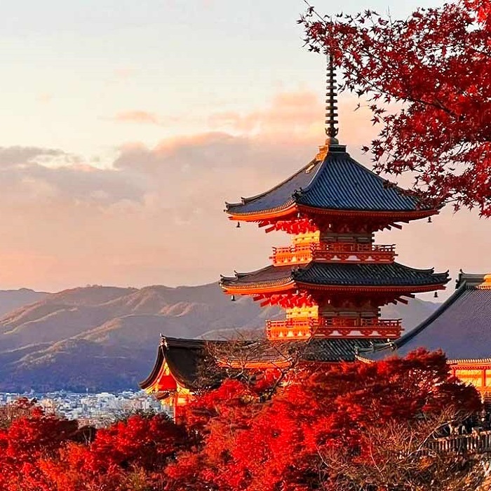 OSAKA - TOKYO (NRT): NHẬT BẢN MÙA LÁ ĐỎ