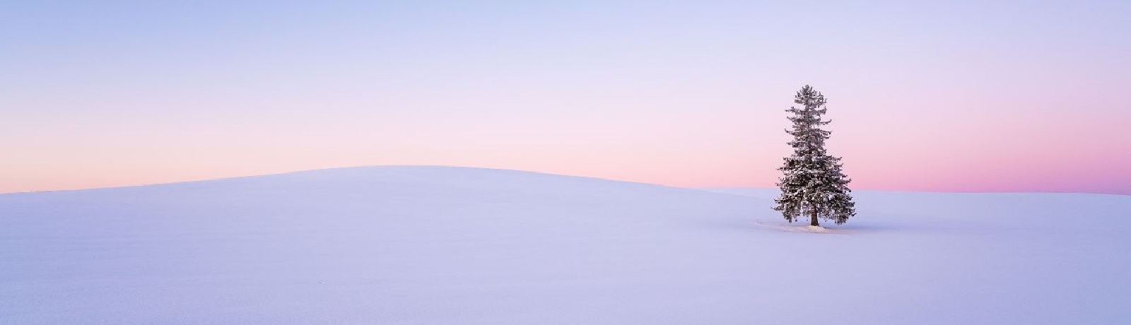HOKKAIDO: ĐÓN NĂM MỚI TẠI XỨ SỞ MẶT TRỜI MỌC