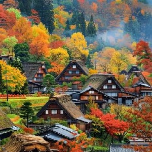 SẮC THU LÃNG MẠN GIỮA DÃY ALPS NHẬT BẢN