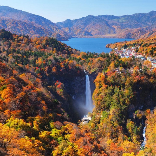 MÙA THU HOKKAIDO - TRẢI NGHIỆM HÀNG KHÔNG 5*